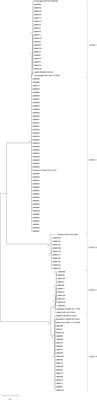 Comparison of Cryptococcus gattii/neoformans Species Complex to Related Genera (Papiliotrema and Naganishia) Reveal Variances in Virulence Associated Factors and Antifungal Susceptibility